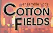 Cotton Fields - Logo
