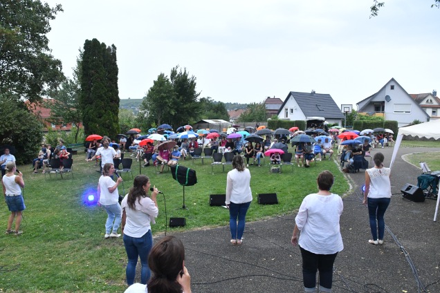 Open-Air-Konzerte "Songs Of Hope", Lahr 26.7.20